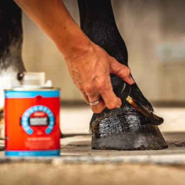 Óleo para cascos Carr & Day & Martin Hoof Dressing Cornucrescine