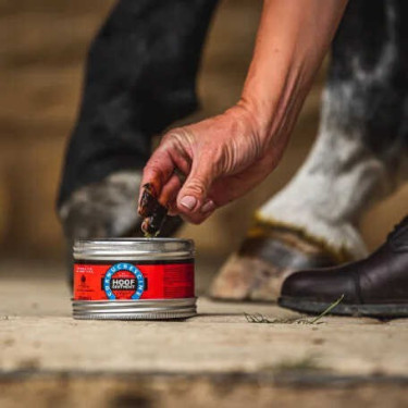 Pomada para cascos Carr & Day & Martin Cornucrescine Pomada para cascos Carr & Day & Martin Cornucrescine