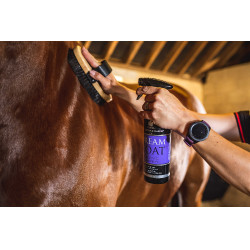 Lustrador Carr & Day & Martin Dreamcoat