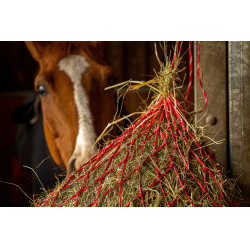 Hooinet Hippotonic Zari Rojo / plateado