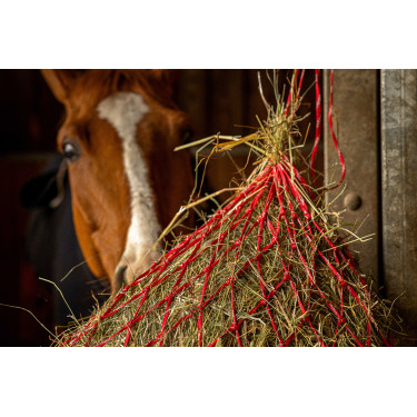 Hooinet Hippotonic Zari Rojo / plateado