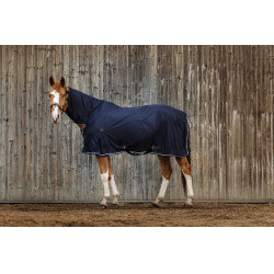 Camisa Equithème Micro mesh combo Azul marino