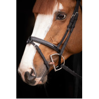 Birdon Oxford Performance Pénélope Negro