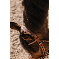 Cabezada de montar ERIC THOMAS Visby Havana Marrón Cabezada de montar ERIC THOMAS Visby Havana Marrón