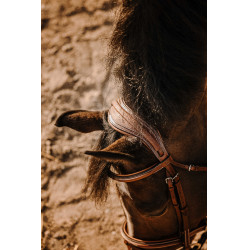 Cabezada de montar ERIC THOMAS Crown Havana Marrón