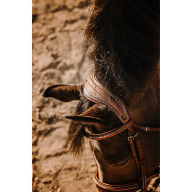 Cabezada de montar ERIC THOMAS Crown Havana Marrón