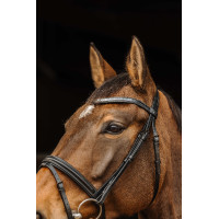 Bridon Norton Pro Galon Negro Bridon Norton Pro Galon Negro