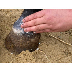 ANIMADERM Natjely Bálsamo