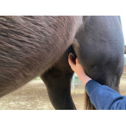 ANIMADERM Natjely Bálsamo