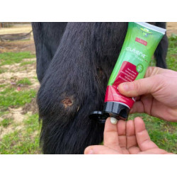 ANIMADERM Cutene ANIMADERM Cutene