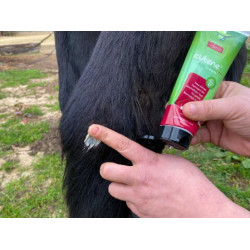 ANIMADERM Cutene ANIMADERM Cutene