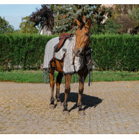 Camisa de trabajo RIDING WORLD resistente a las moscas Gris Camisa de trabajo RIDING WORLD resistente a las moscas Gris