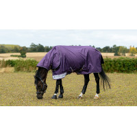 Cobertura impermeable LeMieux Arika Ripstop 200g Enebro Violeta