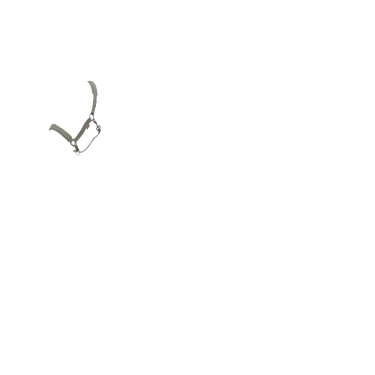 Licol LeMieux Essence Romero Verde