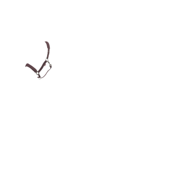 Licol LeMieux Essence Ciruela damascena Violeta