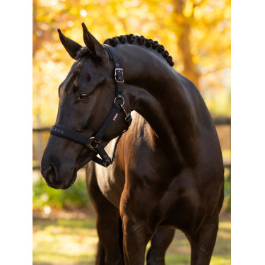 Licol LeMieux Essence Negro