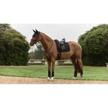 Tapis de dressage LeMieux Essence Square Negro