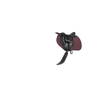 Tapis Eurojump LeMieux Essence Square Ciruela damascena Violeta