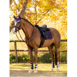 Alfombra LeMieux Merino Loire Classic Dressage Square Enebro Violeta