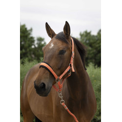 Cabezada + ramal Norton Large Coral Rojo