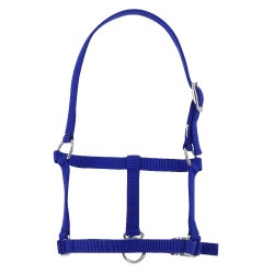 Cabezada potro Riding World Azul real Cabezada potro Riding World Azul real