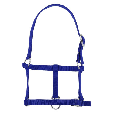 Cabezada potro Riding World Azul real Cabezada potro Riding World Azul real
