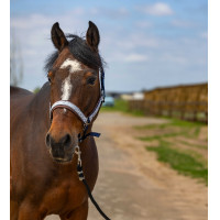 Cabezada de cuadra EQUITHÈME Nylon Check Marino / marrón Azul