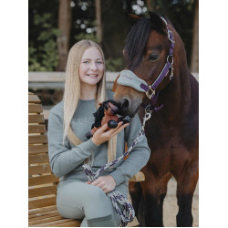 Tiny Pony LeMieux Harlow Rollo