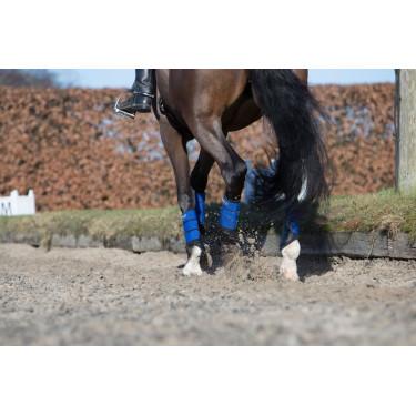Protectores LeMieux Grafter Protectores LeMieux Grafter