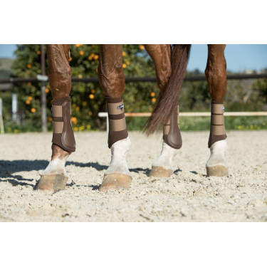Protectores LeMieux Grafter Protectores LeMieux Grafter