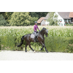 Orejeras anti-moscas LeMieux Signature Gris
