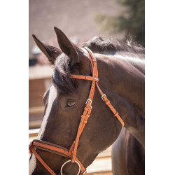 Cabezada PENELOPE Elegance Coñac Marrón