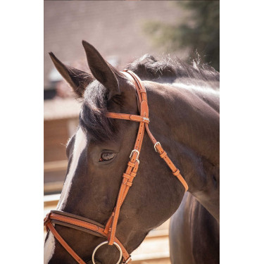 Cabezada PENELOPE Elegance Coñac Marrón