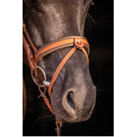 Cabezada PENELOPE Elegance Coñac Marrón