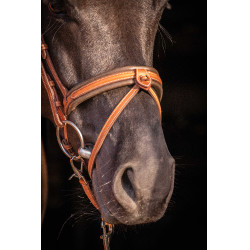 Cabezada PENELOPE Elegance Coñac Marrón