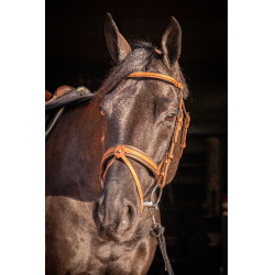 Cabezada PENELOPE Elegance Coñac Marrón