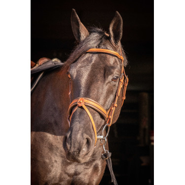 Cabezada PENELOPE Elegance Coñac Marrón