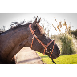 Cabezada PENELOPE Elegance Coñac Marrón