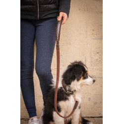 Correa para perros Pénélope Rubber Havana Marrón