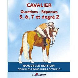 Preguntas / Respuestas 5 a 7 y Grado 2