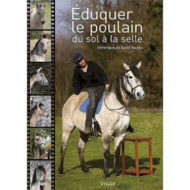 Educar al potro desde el suelo hasta la silla Educar al potro desde el suelo hasta la silla