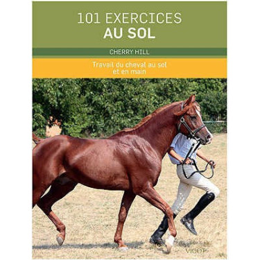 101 ejercicios en el suelo 101 ejercicios en el suelo