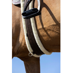 Cincha elástica Norton Smooth Castaño Marrón