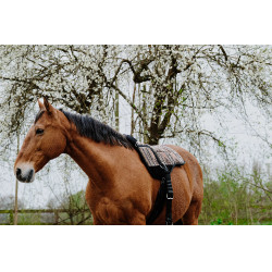 NORTON Kiowa Pad de montar a pelo