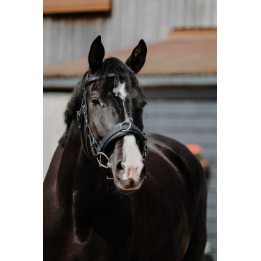 Cavezón ancho Norton Negro Cavezón ancho Norton Negro