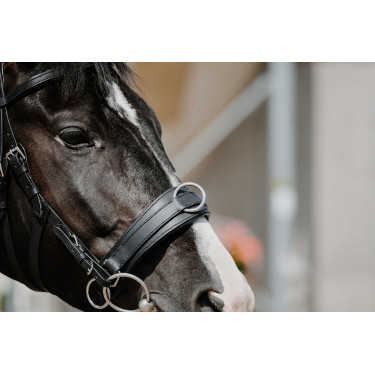 Cavezón ancho Norton Negro Cavezón ancho Norton Negro