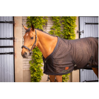 Camisa de malla PADDOCK Negro Camisa de malla PADDOCK Negro