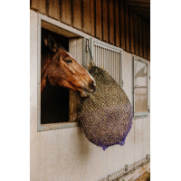 Red de heno Hippotonic Fin Negro / morado