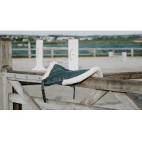 Almohadilla trasera Equithème Pro air Negro Almohadilla trasera Equithème Pro air Negro