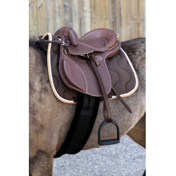 Silla de niños Guy Cantin Evolution éducative Havana Marrón